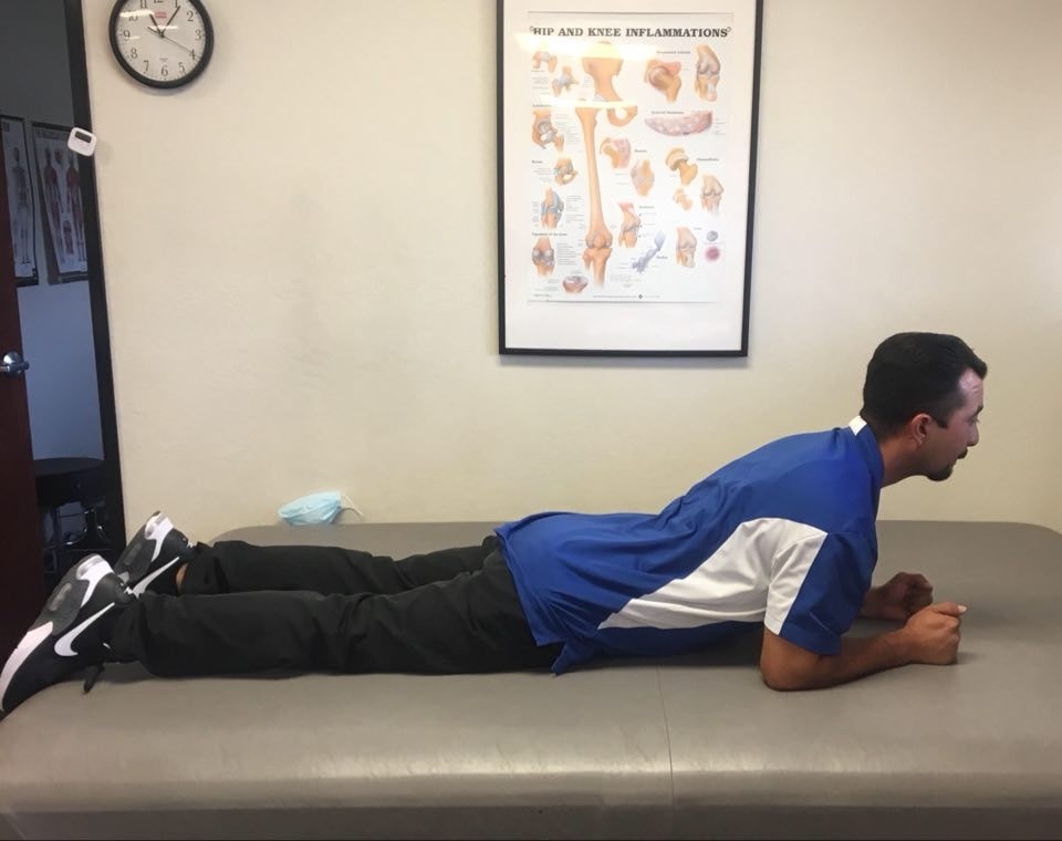 7 Daily Exercises For A Healthy Back Petersen Physical Therapy